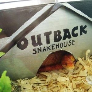 Meet your Posher, Ben